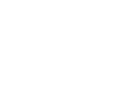 ペット用車椅子K-9Cartsについてもっと詳しく