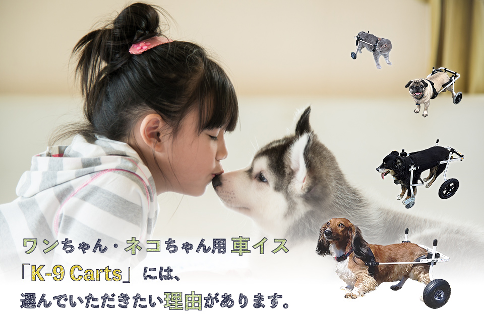ワンちゃんネコちゃん用車イスK-9Cartsには、選んでいただきたい理由があります。