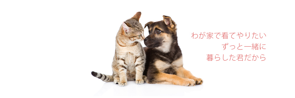ペット用酸素ハウス
